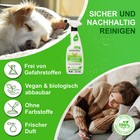 Bild 4 von 7