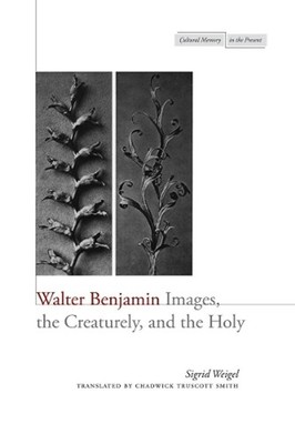 Walter Benjamin: Images, the Creaturely, and the Holy by Sigrid Weigel (English)