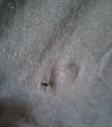 Bild 3 von 4