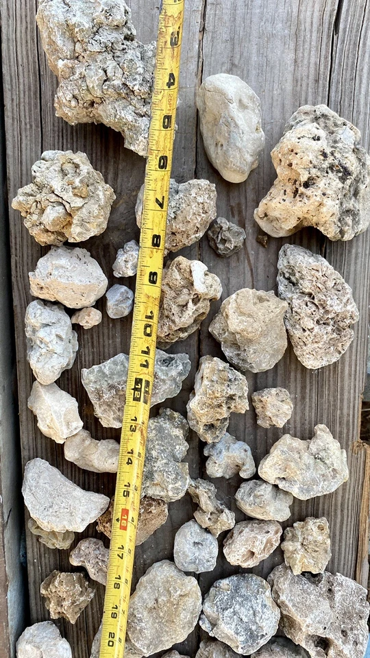 Caja Tarifa Plana Lg 20-30 Lbs - Lote de Piedra Caliza Miniatura Texas Forma Única Foto 4 de 4