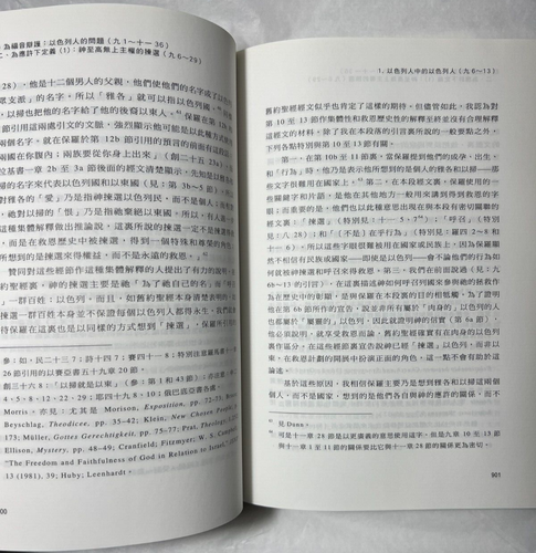 The Epistle to the Romans - Chinese-language Version - Douglas Moo - 羅馬書 - 第 13/19 張圖片
