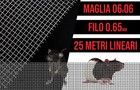 Foto 4 di 6