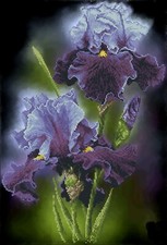 Bead Embroidery Kit Needlepoint Beading irises at night beadwork DIY picture