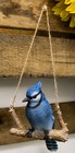 Foto 10 di 10