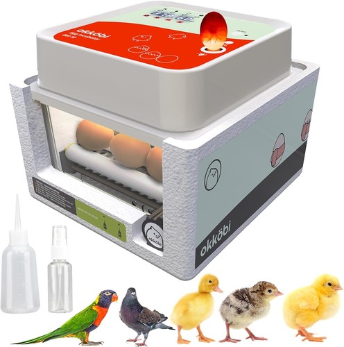 Incubadora de huevos fácil de usar para todas las edades - 12 huevos, control de humedad y vela - Imagen 3 de 10
