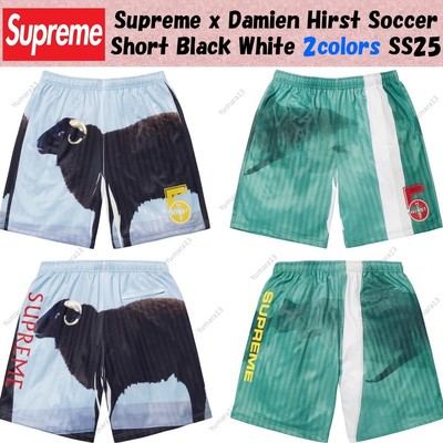 Supreme x Damien Hirst Soccer Short ショーツ Supreme Damien Hirst Soccer Short Black Men's - SS25 - US