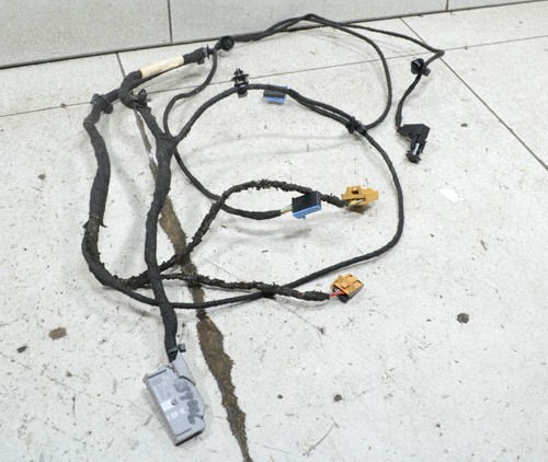 VW Passat 3C Variant Bj 06 Tür Kabelbaum vorne LINKS #134006-H238