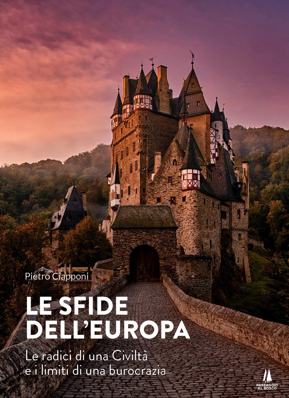 Пьетро Чаппони История Европы. История любви (в мягкой обложке) (ИМПОРТ из Великобритании)