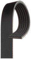 Gates 6PK1218XS V-Rippenriemen FüR CitroëN, Peugeot, Renault, Toyota