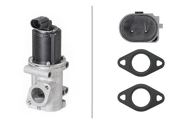 Hella Agr-Ventil U.A. FüR Alfa Romeo, Fiat, Opel, Saab-image