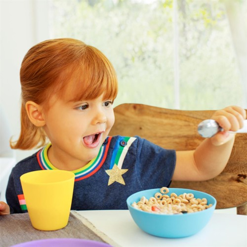 Munchkin Multi Bowls Set Pack of 4│For 6+ months Toddler Meals│Microwave Safe - Picture 9 of 11