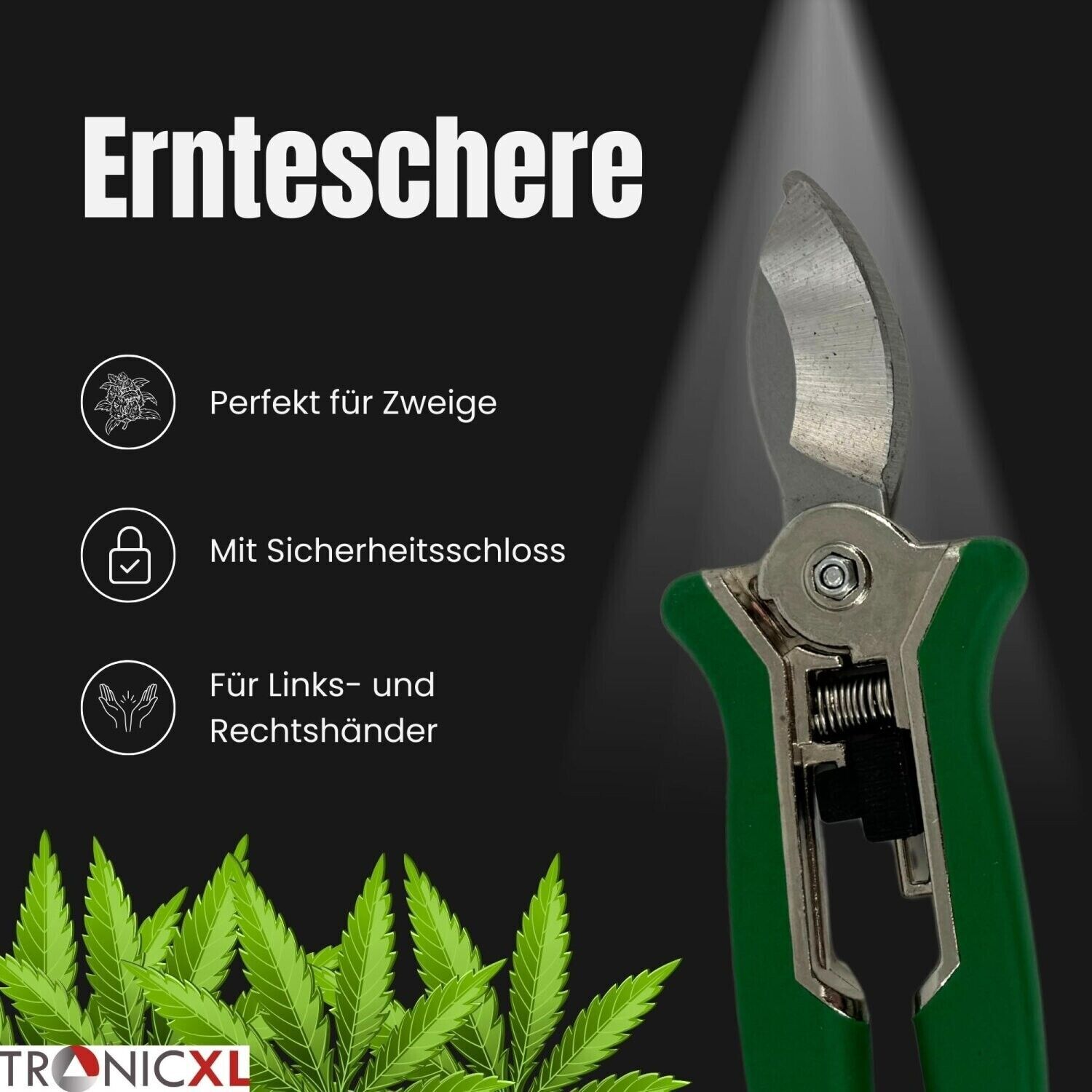 Bild 60 von 61