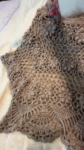 Lumiere Crochet Over Sweater Large Sleeve opening Flower pattern Taupe Large - Video 1 of 1