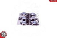 Esen SKV Reparatursatz Saugrohrmodul FüR BMW 5Er Touring X5 E61 E70 E53 E60