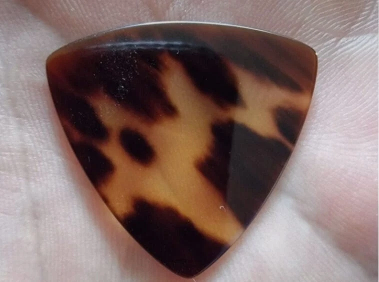 TS picks Davepicks - Image 4 of 4