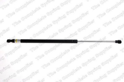 Tailgate Lift Support Fits 2000-2006 BMW X5 8108418