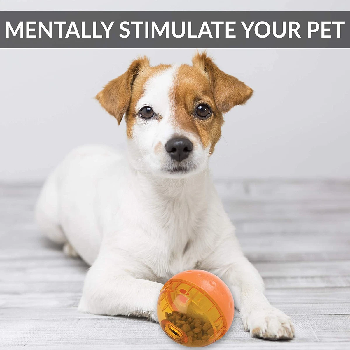 OurPets IQ Treat Ball Interactive Food Dispensing Dog Toy