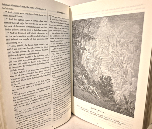 HOLY BIBLE, Leather, Old and New Testaments, Gstave Dore Illustrated, King James - Picture 15 of 20