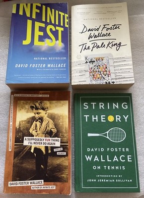 Lot of 4 David Foster Wallace Infinite Jest Pale King A Supposedly Fun Thing PBS