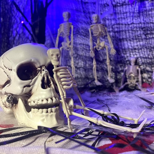 24 Pcs Mini Skeleton Halloween Decoration, 6” Posable Figurines - Picture 16 of 24