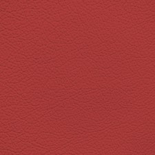 BMW Coral Red Leather Dye
