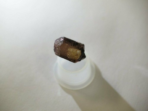 9.67 carat Tourmaline Rubelite Crystal Mineral Specimen Minas Gerais Brazil M-68 - Picture 8 of 12