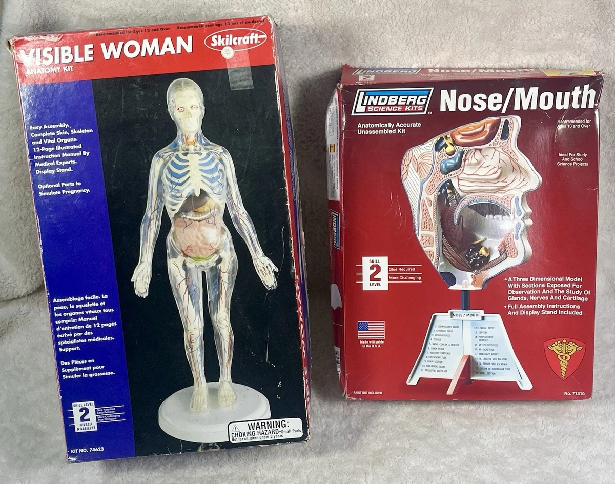 Visible Woman Indiana OTHER Models & Kits for sale | eBay