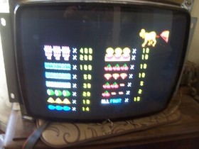 NEW FRUIT BONUS 96 DOG DIAMOND CHERRY MASTER 8 LINER PCB  WORKS! LOOK