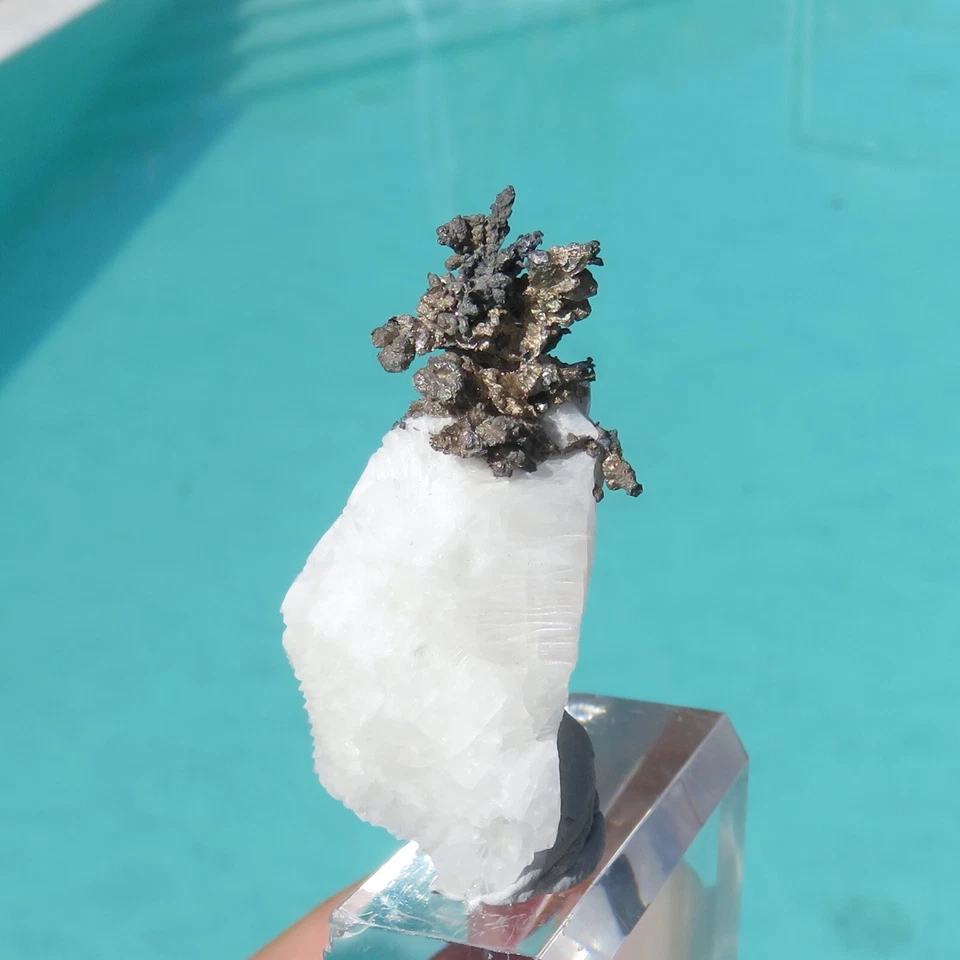 Minerali *** IMPORTANTE ARGENTO NATIVO DYSCRASITE su MATRICE Marocco - Immagine 2 di 2