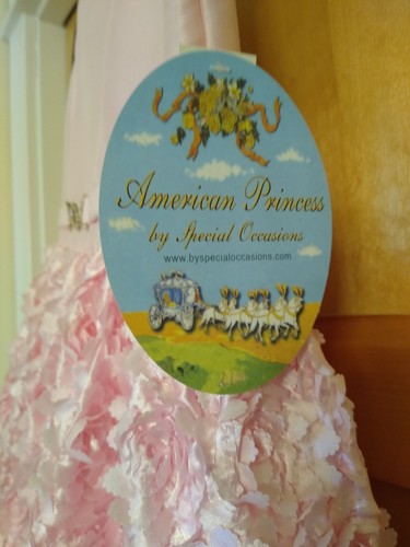 American Princess Pink Flower Holiday Dress size 10 NWT MSRP $60 - Picture 3 of 6