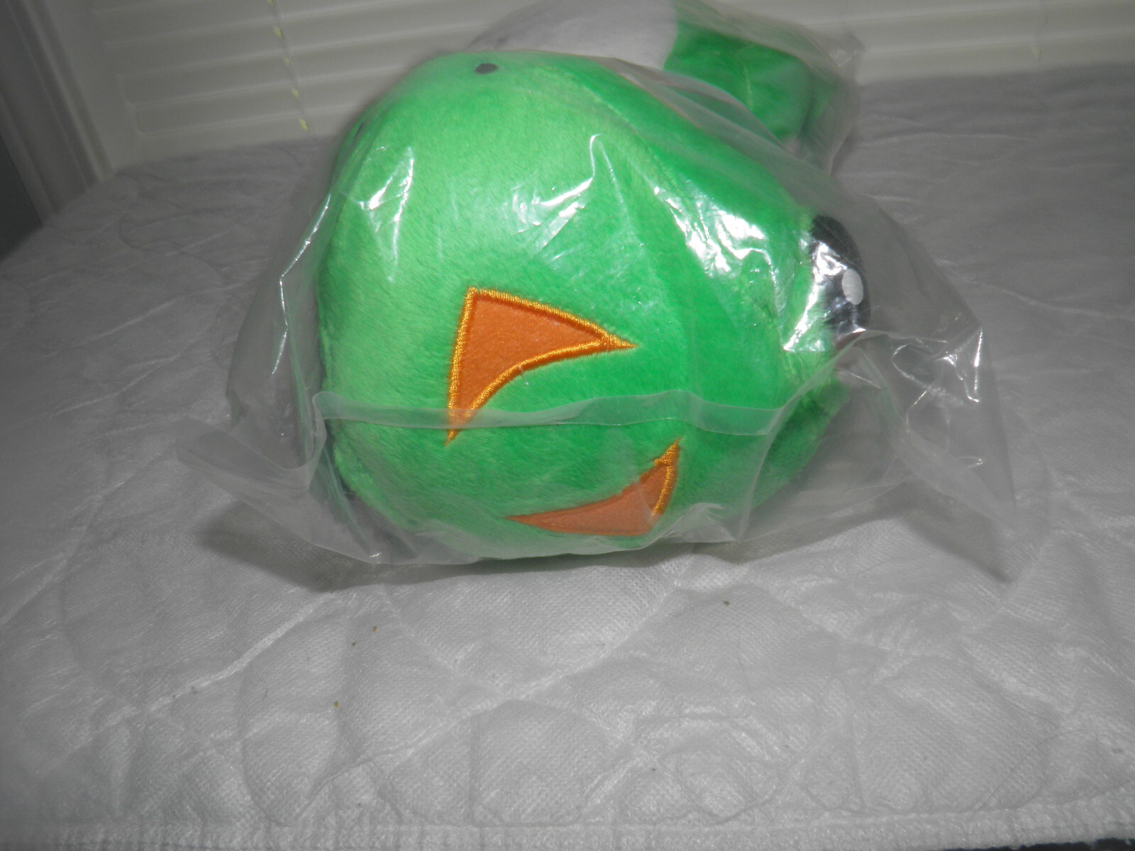Picture 6 of 6