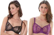 Fantasie Allegra Underwired Vertical Seam 9091 Various Sizes and Colors NWT