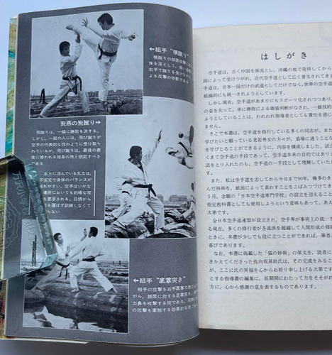 GOJU RYU Karate Textbook Karate 10th Dan Hanshi Instructor Yamaguchi Gogen - Picture 5 of 10