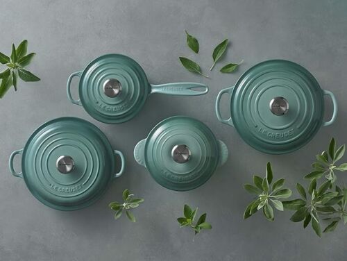 Le Creuset Cocotte Every 20 Sage Rice Pot 20cm 2.8L Cast Iron Silver knob JP NEW - Picture 9 of 19