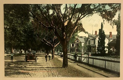 Postcard Gainesville Florida Alachua Avenue Street View Houses Old Car Dirt Road