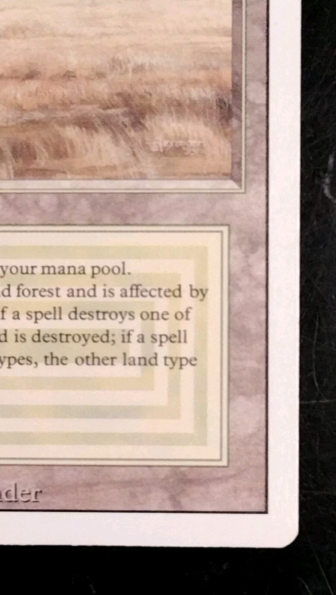 MTG Savannah 英語 デュアルランド MTG Savannah 英語 デュアルランド