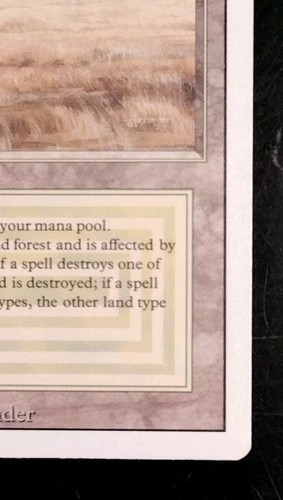 Savannah Dual Land Revised NM or Better UNPLAYED 1994 Magic The Gathering MTG - Picture 5 of 21