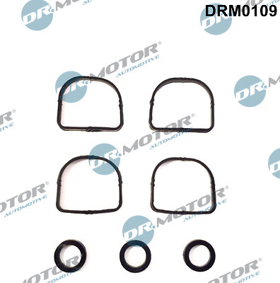 DRM0109 Dr.Motor Automotive Dichtungssatz, AnsaugkrüMmer FüR BMW-image
