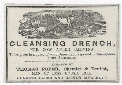 Cleansing Drench Cow After Calving Label Thomas Roper Chemist Dentist Cattle
