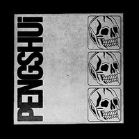 Pengshui - Vinyl Record Vinyl - G3Z