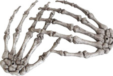 Halloween Skeleton Hands - Realistic Life Size Severed Plastic Grey Skeleton Han