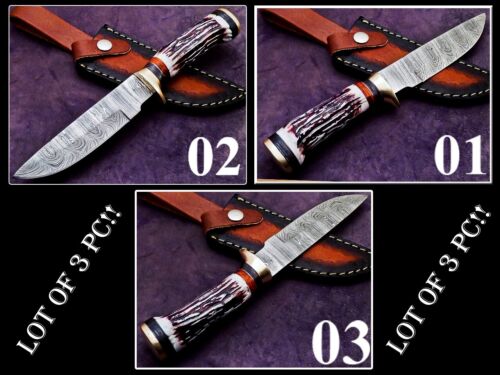 LOT OF 3 PCS! Handmade Forged Damascus Blade Camping Hunting Knife, BOWIE KNIFE, - Photo 1 sur 12