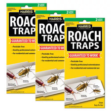 Roach Glue Traps (6-Pack)