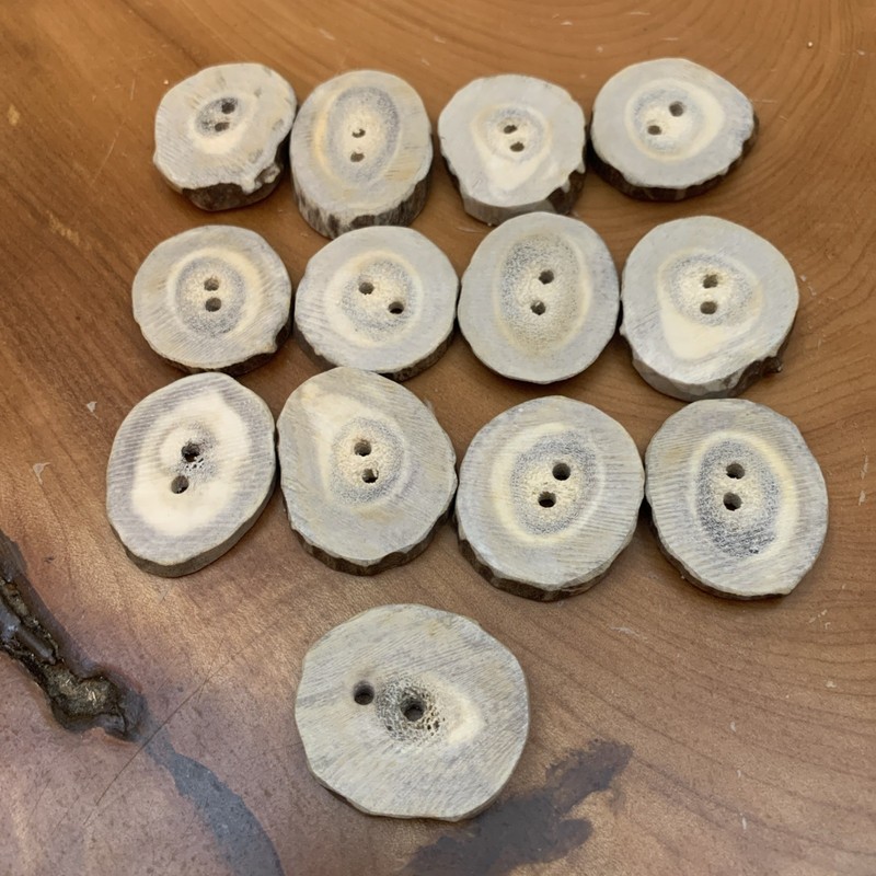 13 Antler Buttons 1 1/4-1 1/2”/ Two Hole Solid Bone / Natural Color