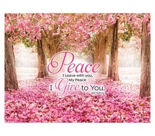 CHRISTIAN PUZZLE: God's Peace 300 Pieces