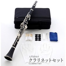 New, unused, free shipping, clarinet set, spare, with reed