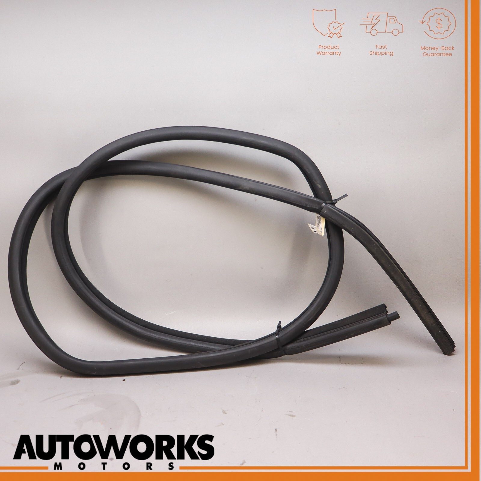 03-08 Maserati Quattroporte M139 Rear Left Door Weatherstrip Rubber Seal OEM