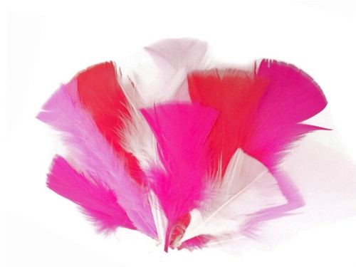 1/4 Lb. Hot Pink Turkey T-Base Wholesale Flat Feathers Bulk Bridal Craft Wedding - Picture 7 of 12