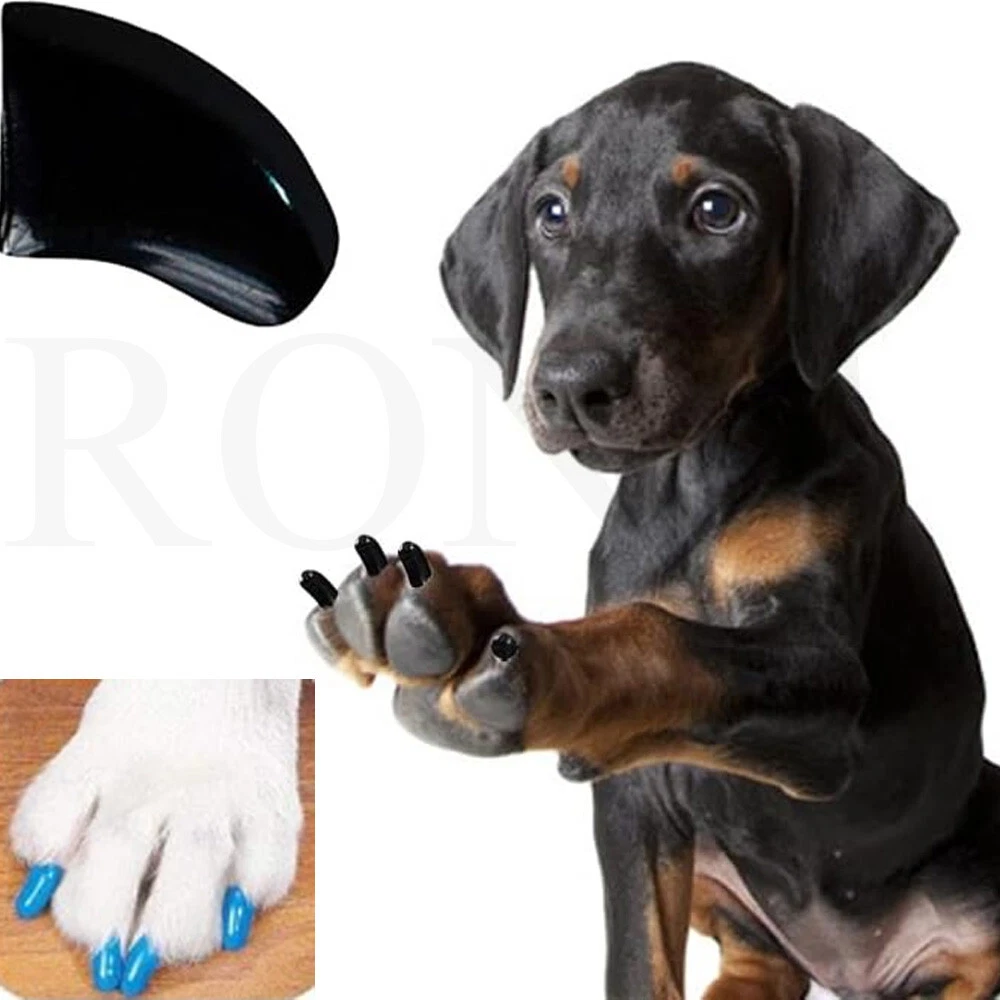 Soft Claws Canine Nail Cap Dog Paw Caps Adhesive Tips Sizes - 11 Colors to  Choose(Medium Black) | Dog nails, Soft claws, Cat nail caps