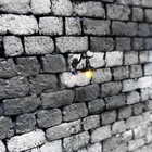 Foto 10 di 12